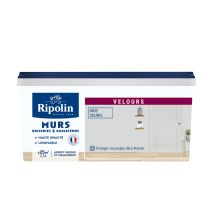 Peinture déco velours 2,5 l gris souris 