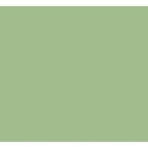 Peinture esprit-déco vert gaspesie satin 2,5L - RIPOLIN