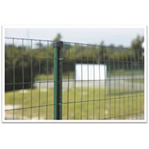 Grillage en Rouleau Soudé Vert Axial Super 250 25x2m - DIRICKX