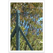 Piquet Poteau TE Plastifié Gris 7016 Section 30x3mm 1,20m - DIRICKX