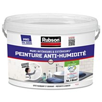 Peinture Anti-Humidité 5L blanc - RUBSON