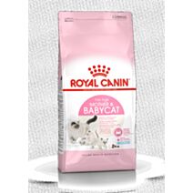 Croquette Chat Mother&Babycat 4kg - ROYAL CANIN