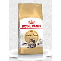 Croquette Chat Maine Coon Adult 4kg - ROYAL CANIN