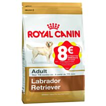 Croquette chien Labrador adult 12kg - ROYAL CANIN