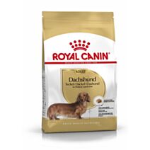 Croquette Chien Dachshund Adult 1,5kg - ROYAL CANIN