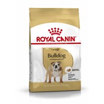 Croquette chien bulldog adult 12kg - ROYAL CANIN