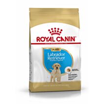 Croquette Chiot Puppy Labrador Retriever 3kg - ROYAL CANIN