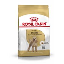 Croquette chien poodle adult 1,5kg - ROYAL CANIN