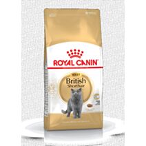 Croquette chat british short hair adult 2kg - ROYAL CANIN