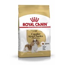 Croquette chien cavalier king charles adult 3kg - ROYAL CANIN