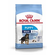 Croquette chiot puppy maxi 10kg - ROYAL CANIN