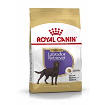 Croquette Chien Labrador Sterilised 12kg - ROYAL CANIN