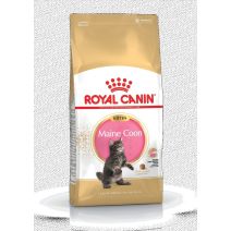 Croquette Chaton Maine Coon Kitten 2kg - ROYAL CANIN