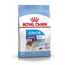Croquette Chien Junior Giant 3,5kg - ROYAL CANIN