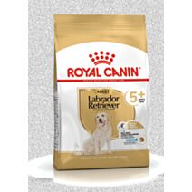 Croquette Chien Labrador Adult 5+ 12kg - ROYAL CANIN