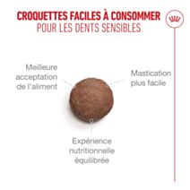 Croquettes chat Ageing 15+ 2kg - royal canin
