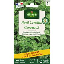 Persil commun 2 + 50% gratuit - VILMORIN