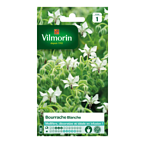 Graines bourrache blanche VL.1 - VILMORIN