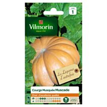 Graines Courge Musquée d'Hiver de Provence - VILMORIN