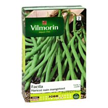 Facila, haricot nain mangetout série 2 Vilmorin