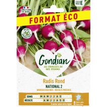 Radis National 2 - GONDIAN