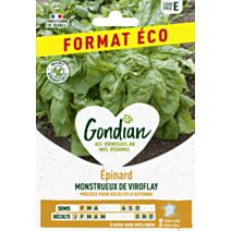 Epinard Monstrueux de Viroflay - GONDIAN