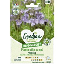 Plantes utiles au sol - Phacélie - GONDIAN