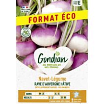 Navet-Légume Rave d'Auvergne Hâtive - GONDIAN