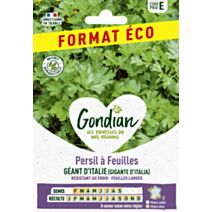 Persil à feuilles Gigante d'Italia (Géant d'Italie) - GONDIAN