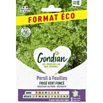 Persil à feuilles Frisé Vert Foncé - GONDIAN