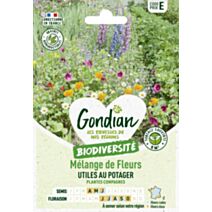 Mélange de fleurs Fleurs Utiles au Potager - GONDIAN
