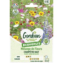Mélange de fleurs Décor Champêtre - GONDIAN