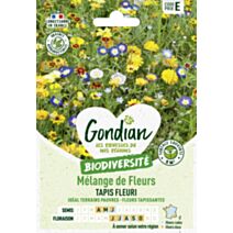 Mélange de fleurs Coin de Rocaille - GONDIAN