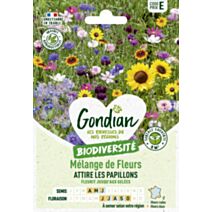 Mélange de fleurs Attire les Papillons - GONDIAN