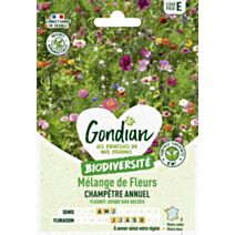 Mélange de fleurs Coin de Prairie - GONDIAN