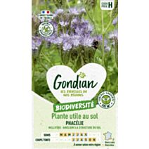 Graine Phacélie 100m2 60cm - GONDIAN