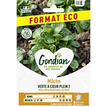 Mâche Verte à Cœur Plein 3 - GONDIAN