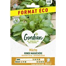 Mâche Ronde Maraîchère - GONDIAN