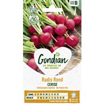 Radis Cerise - GONDIAN