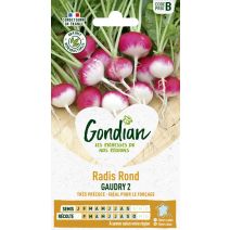 Radis Gaudry 2 - GONDIAN