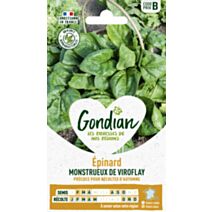 Epinard Monstrueux de Viroflay - GONDIAN