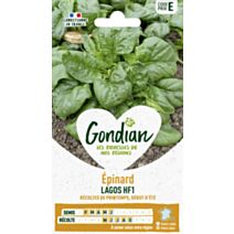 Epinard Lagos HF1 - GONDIAN