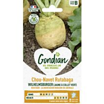 Rutabaga (Chou-Navet) Wilhelmsburger (Jaune à Collet Vert) - GONDIAN
