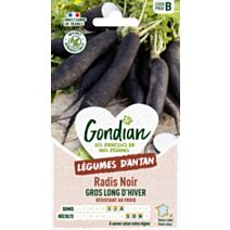 Radis Noir Noir Gros Long d'Hiver - GONDIAN