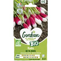 Radis de 18 Jours Bio - GONDIAN