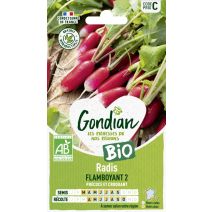 Radis Flamboyant 2 Bio - GONDIAN