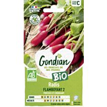 Radis Flamboyant 2 Bio - GONDIAN