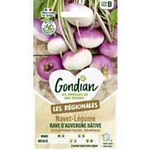 Navet-Légume Rave d'Auvergne Hâtive - GONDIAN