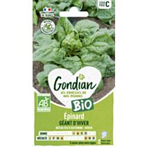 Epinard Géant d'Hiver Bio - GONDIAN