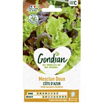 Mesclun - GONDIAN